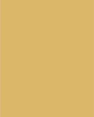 Acrylic MD-1038