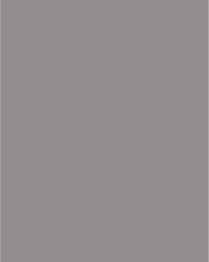 LVT V-017